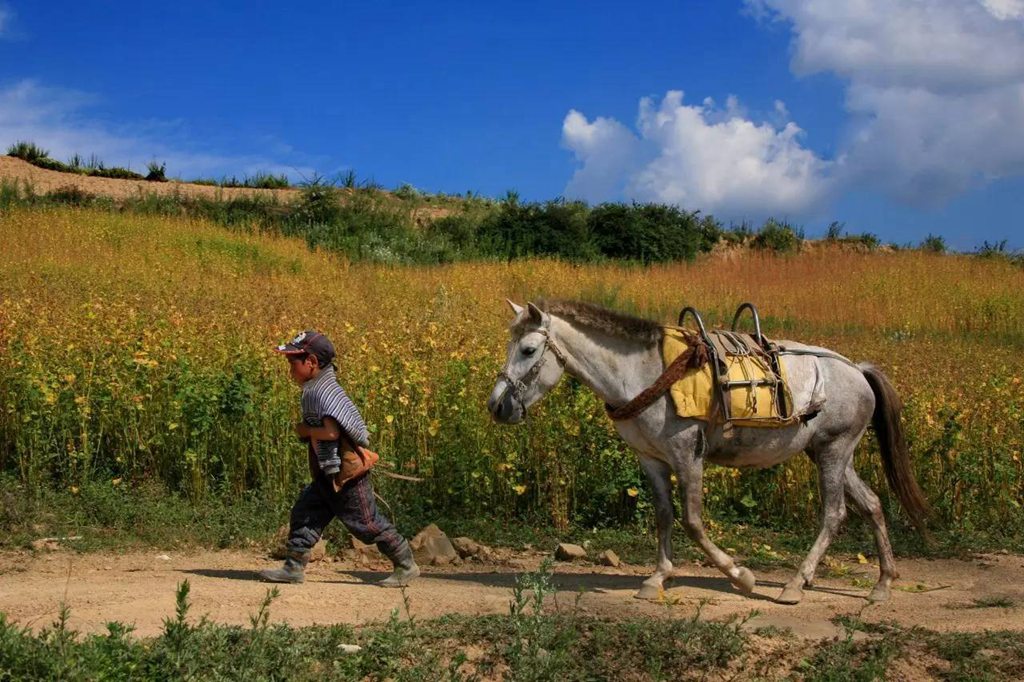 国际旅游摄影推荐,大凉山摄影攻略