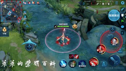 王者荣耀：国服榜一阿轲深度教学（三套连招/抓人细节/进场思路）