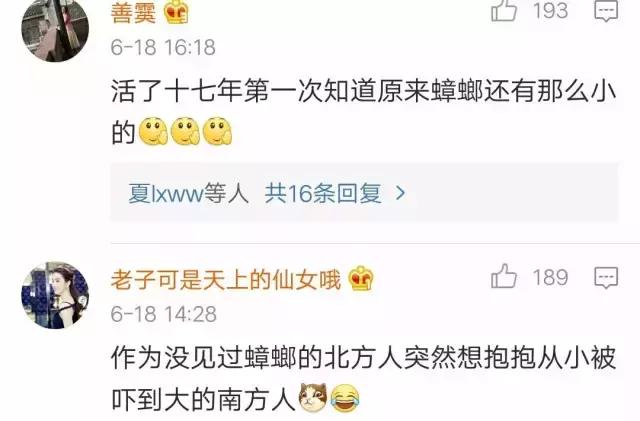 断头不死，马桶里重生，南方蟑螂凭什么把北方汉子吓出猪叫