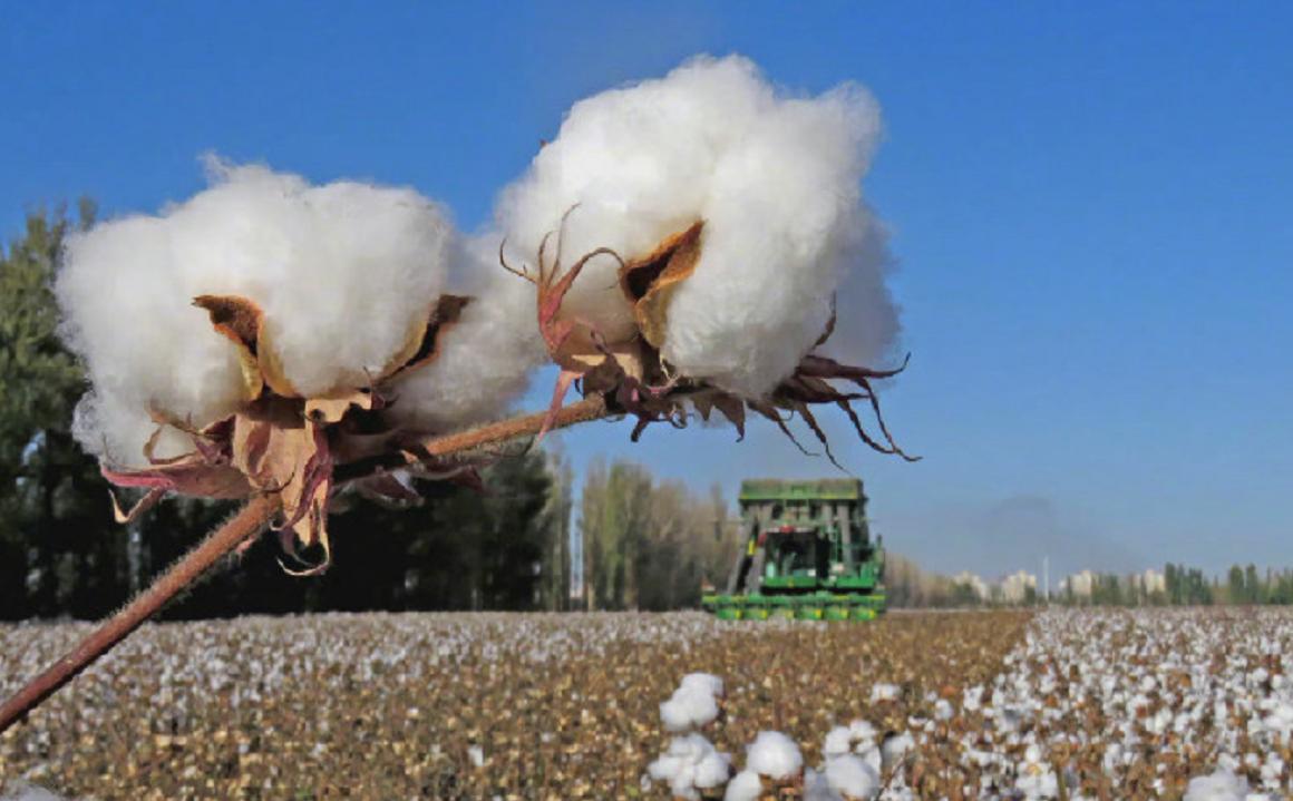 新疆一商场关闭hm门店后续,新疆一商场关闭hm门店