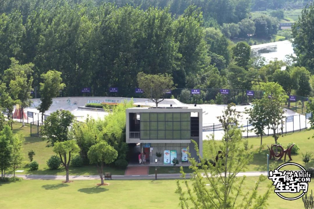 庐阳老城内藏着一处最大的综合性森林公园，人少景美，关键还免费