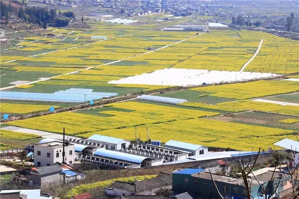 一路从南方到北方感受四季,成都最值得去的小城