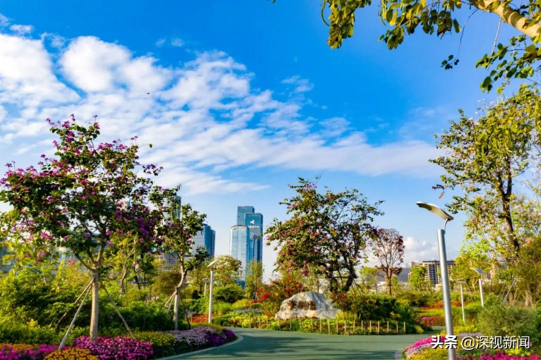 这里是幸福的家乡视频,这里是幸福拉萨