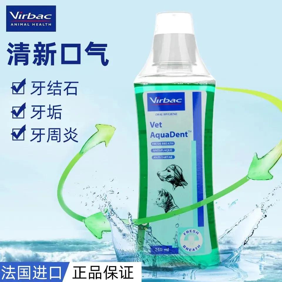 猫狗必备的药,收藏必备药品