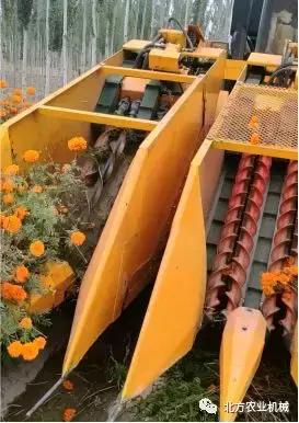 不止玉米机，中农博远百花盛开，2019中农博远新品等着你！