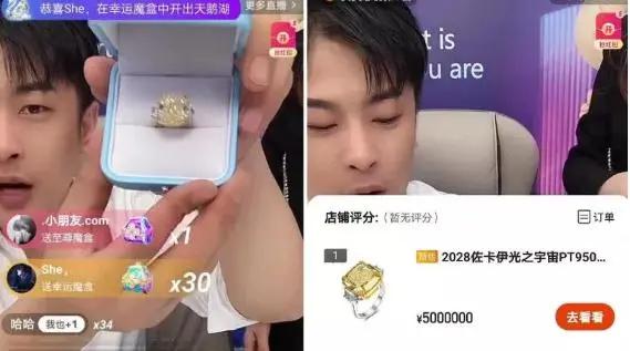 辛巴不是小狮子是什么品种,辛巴不是狮子狗品种吗