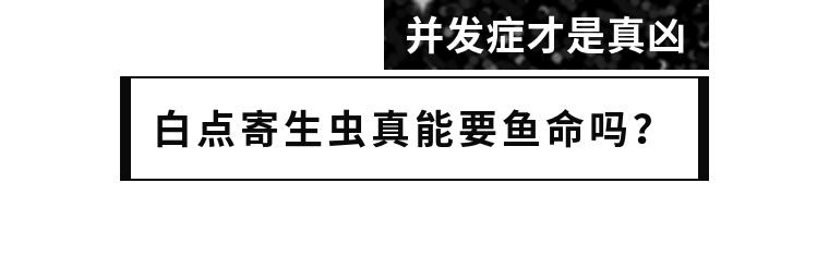 海缸白点怎么彻底消除,该怎么拯救大海
