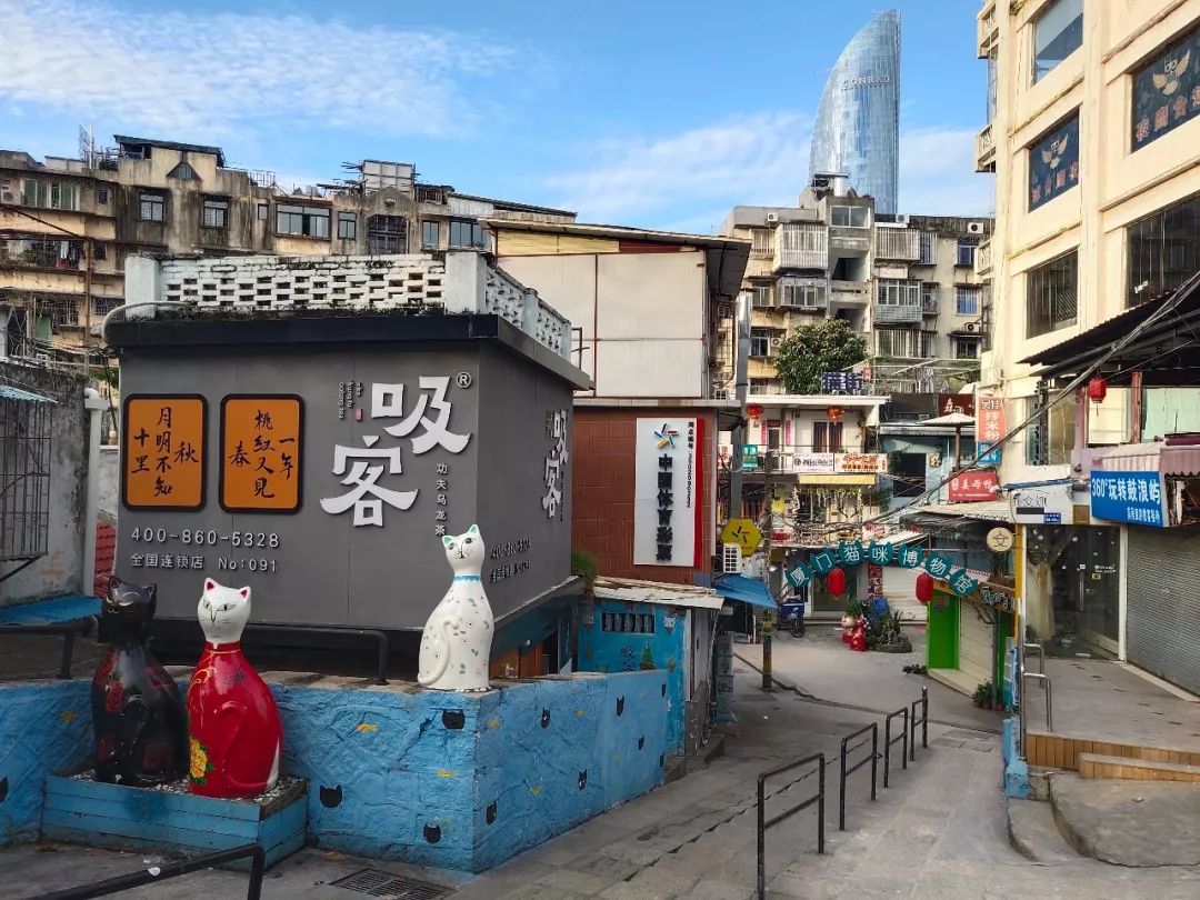 九分钟带您了解鼓浪屿攻略,游玩鼓浪屿攻略路线推荐