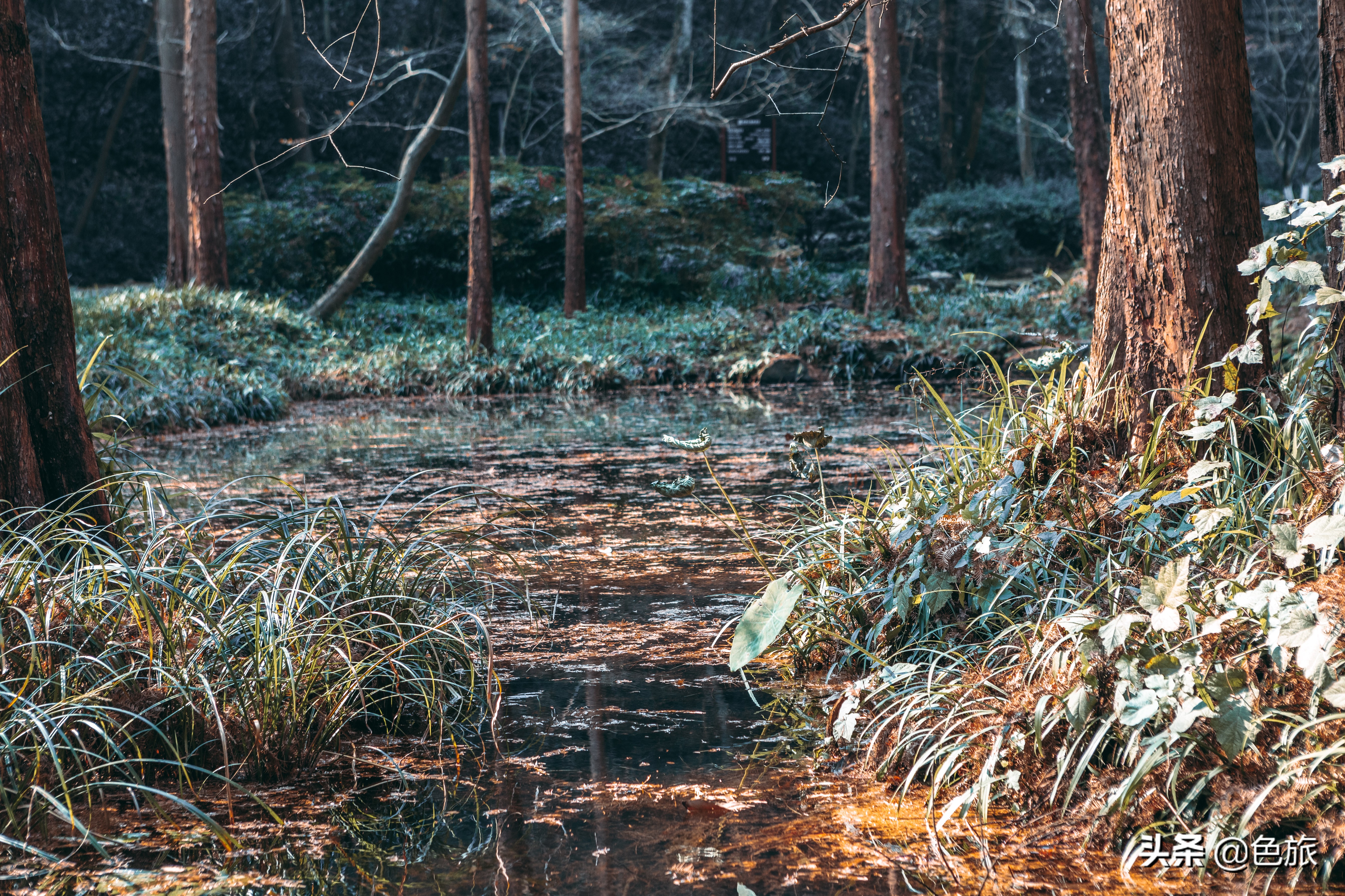 逆水寒游历虎跑梦泉怎么出葫芦,杭州游玩虎跑泉