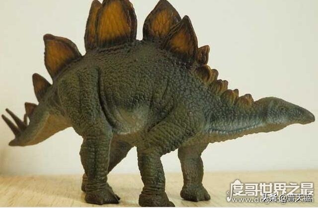 凶猛龙与恐龙大战,好凶猛的恐龙视频