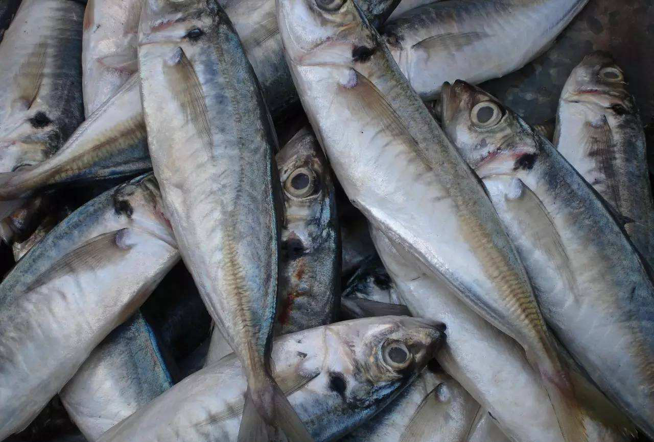 海南海边码头海鲜,海南海鲜开海