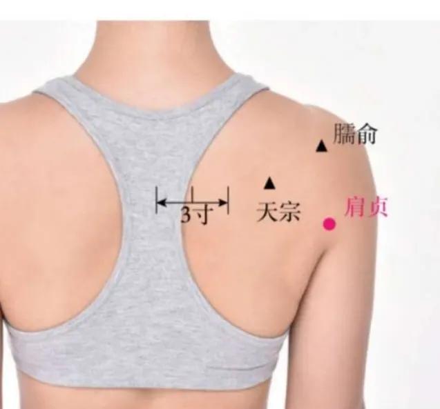 中医不是慢郎中第一集,中医不是慢郎中央视十套