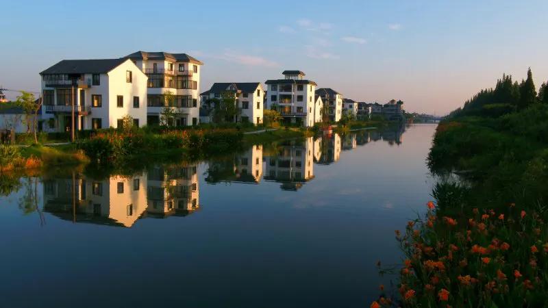 稻花香里说丰年：钱塘大江东采风行｜｜愉悦