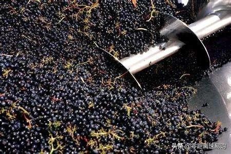 喝葡萄酒中毒在家里有偏方可解吗,自酿葡萄酒甲醛超标中毒怎么办