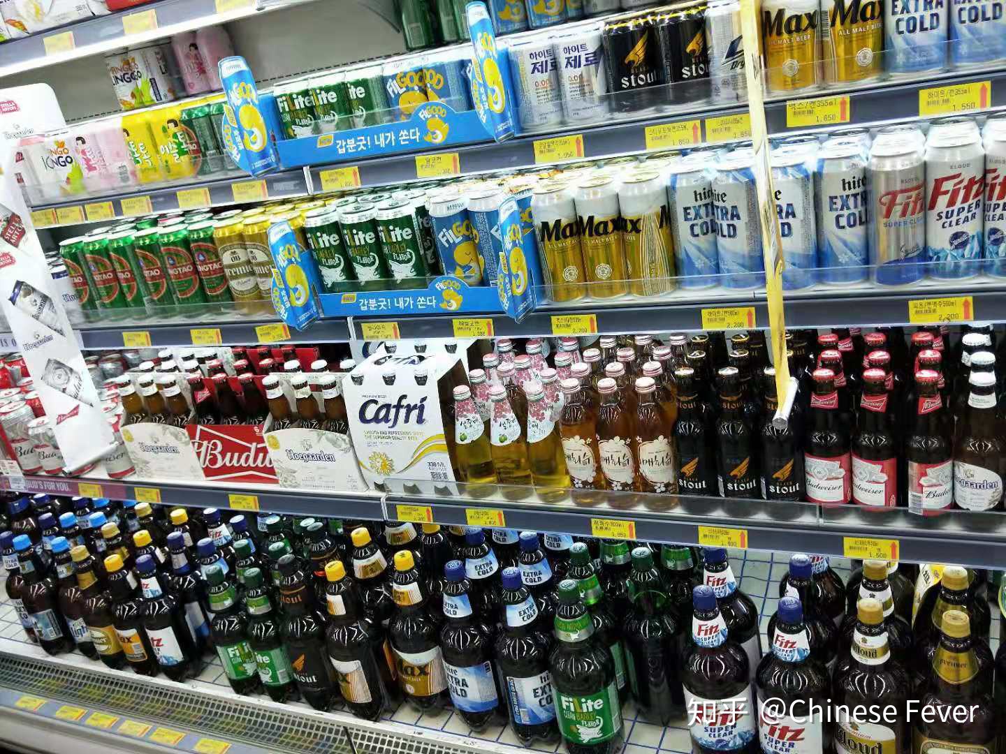 想去韩国做中文老师怎么样 (想去韩国做汉语教师怎么去)