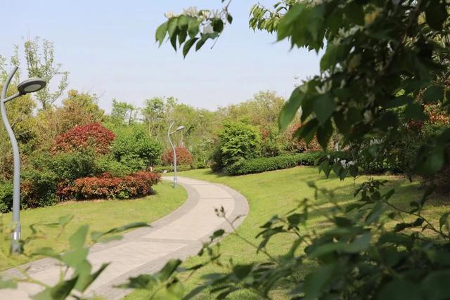 徐州鼓楼区九龙湖板块,徐州九里板块发展前途