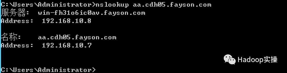 winserver2012dns服务查询,windows如何搭建虚拟dns服务器