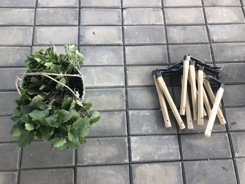 开心农场希月生态庄园,开心农场欢迎你的到来