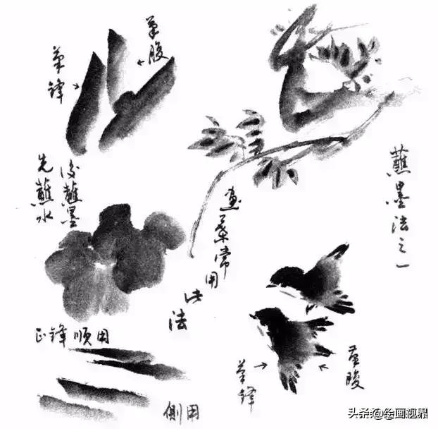 国画没有书法基础,国画没有基础最好先学哪些入手