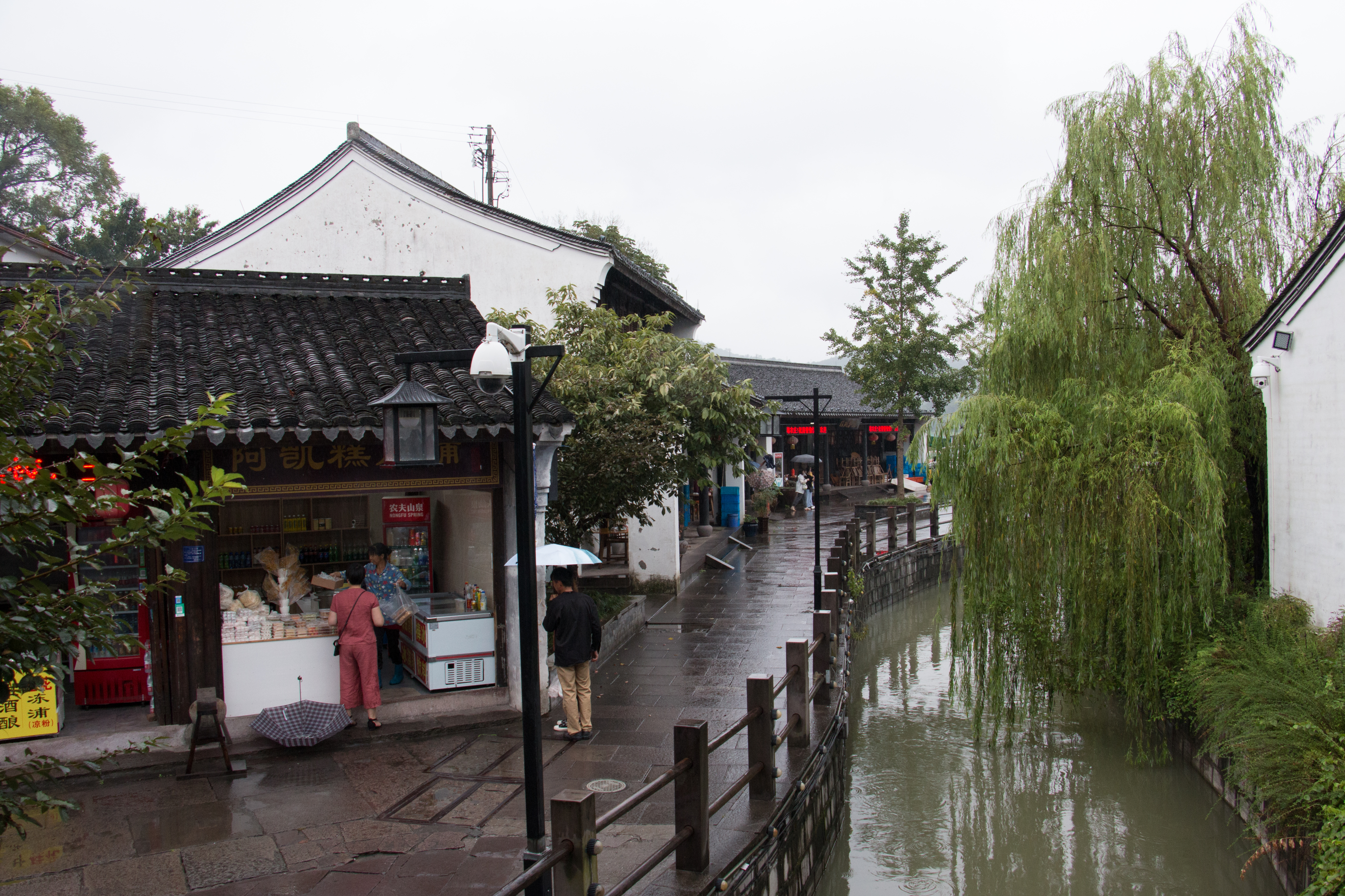 鹤皋古镇,鸣鹤古镇绕湖路