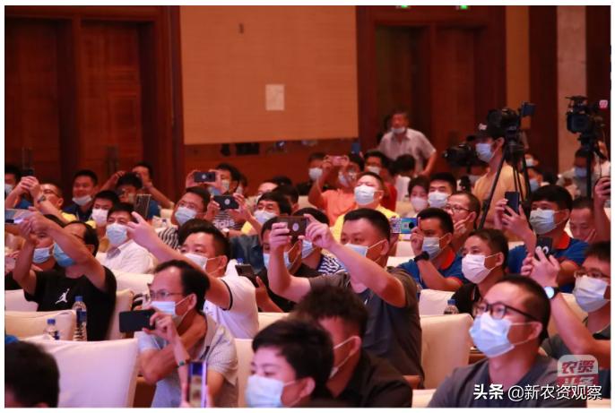 海南哈密瓜大市场,海南哈密瓜市场前景