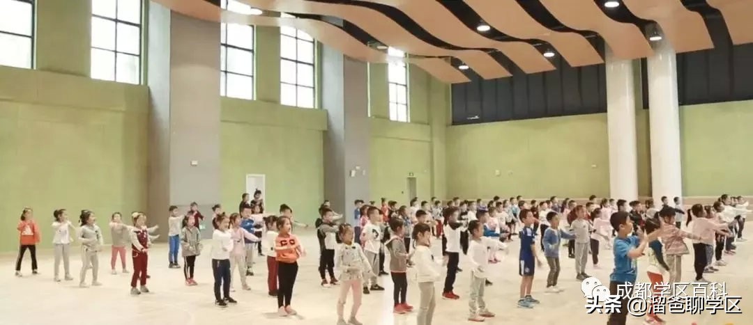 大源片区小学排名,高新区大源片区学校排名