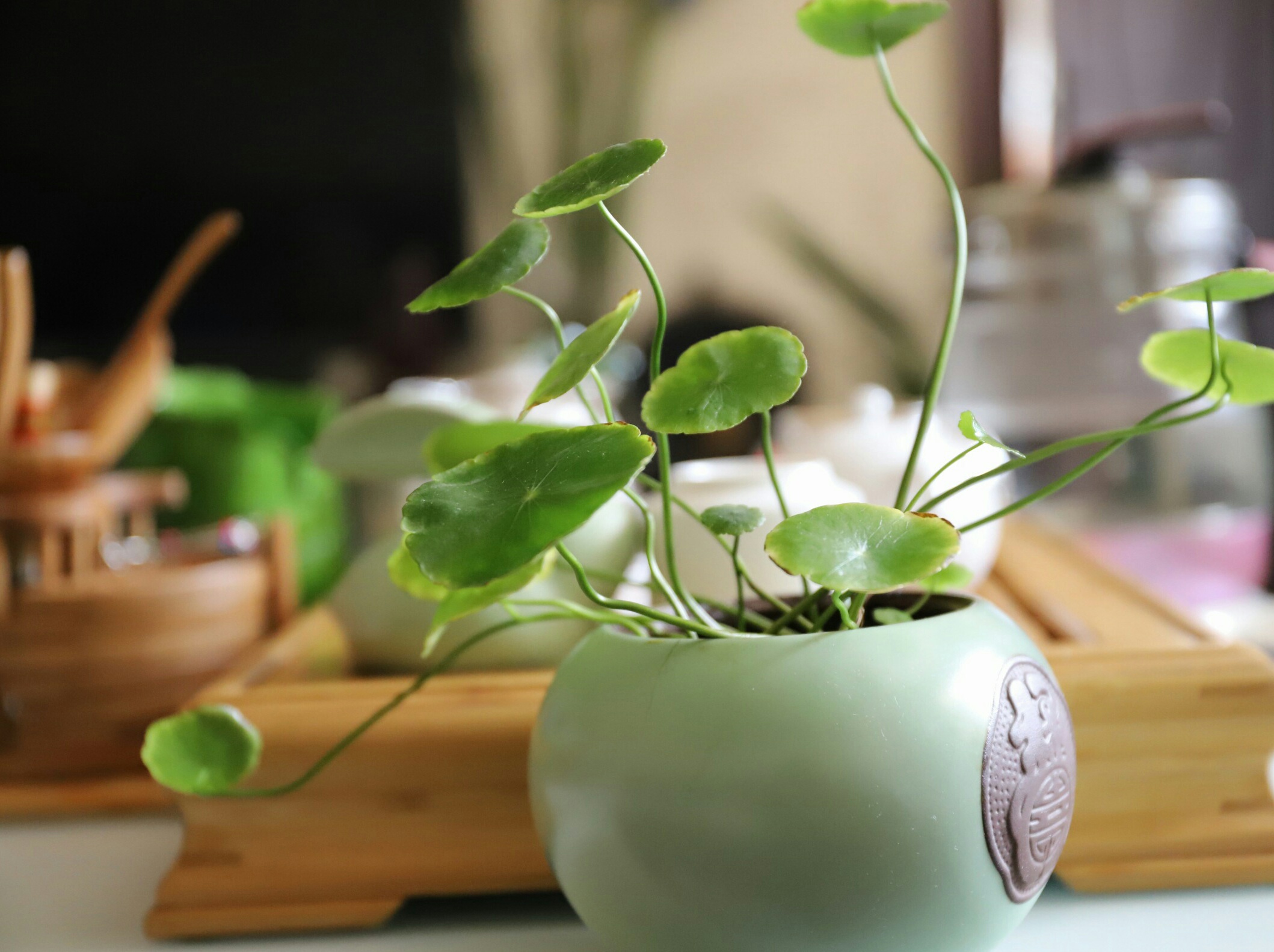 茶器合一,茶器与中式生活美学