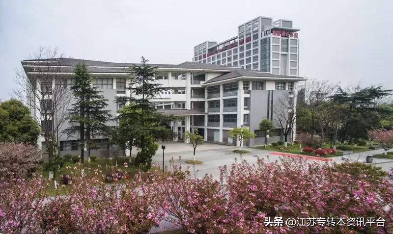 江苏专转本学校南京邮电大学,江苏专转本南京邮电大学邮政管理