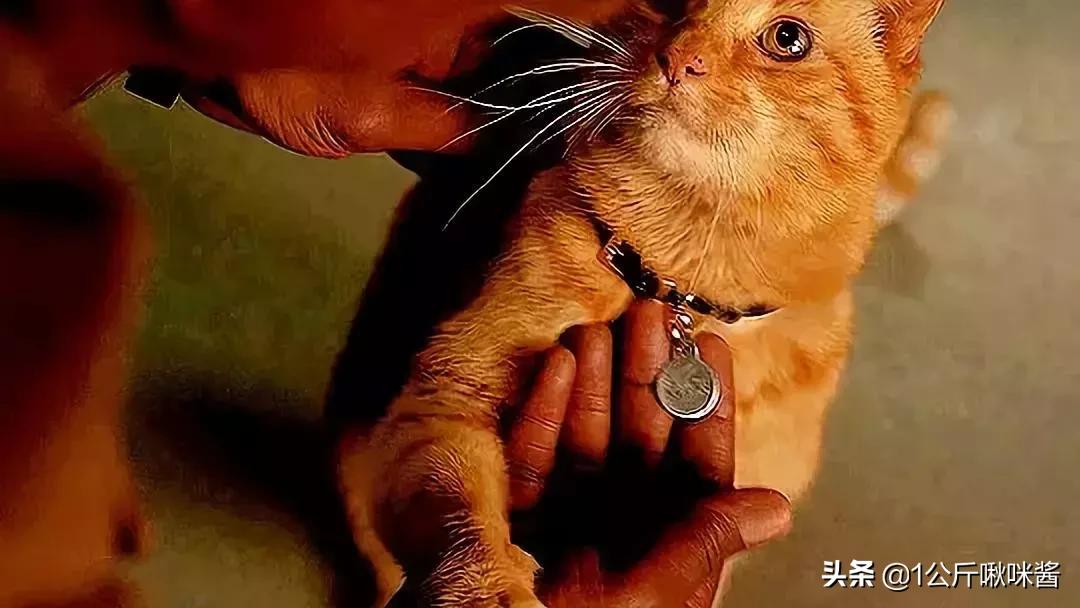 惊奇队长能打过没宝石灭霸吗,惊奇队长彩蛋打败灭霸