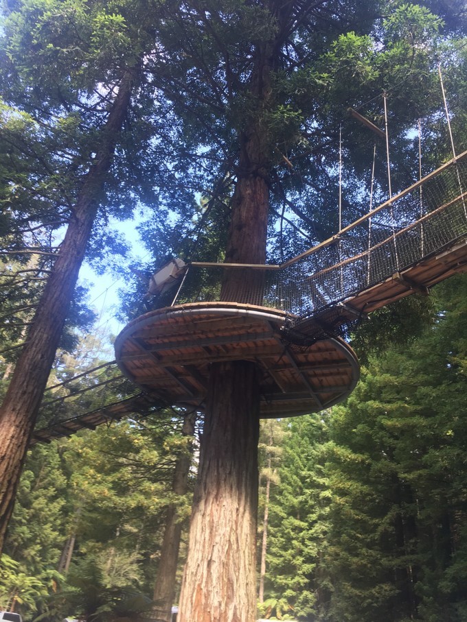 让你不出国就可以拍出欧洲即视感,让你不出家门就能看到江南的美景