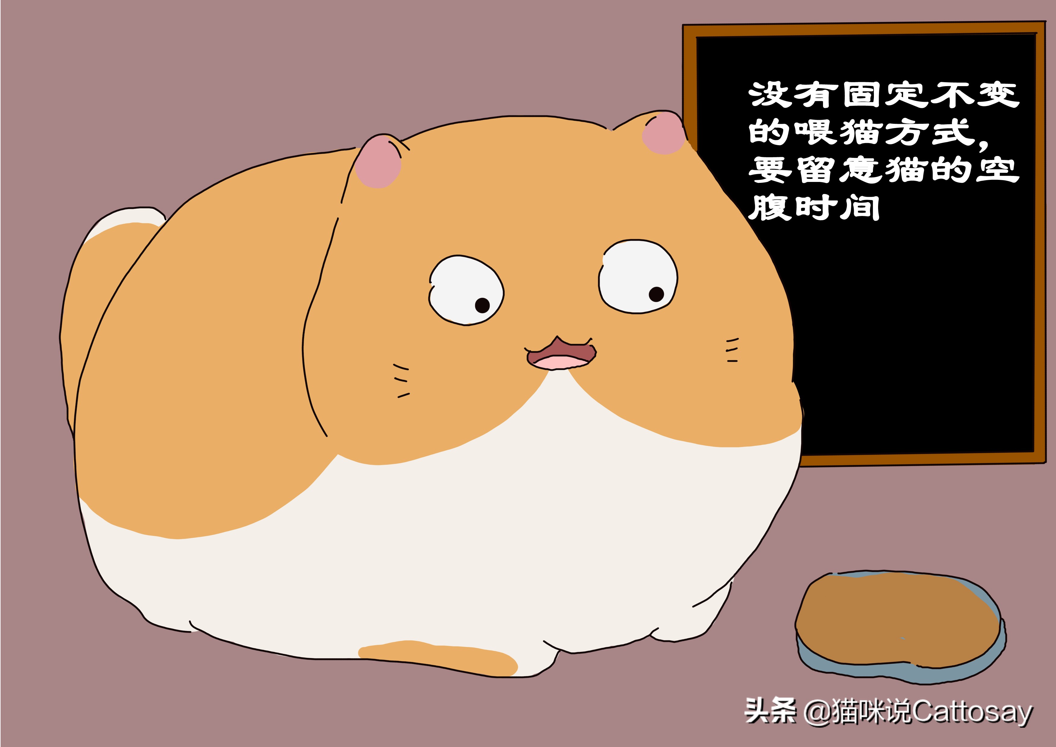 猫一天喂几次水最合适,猫一般喂几次正常一天