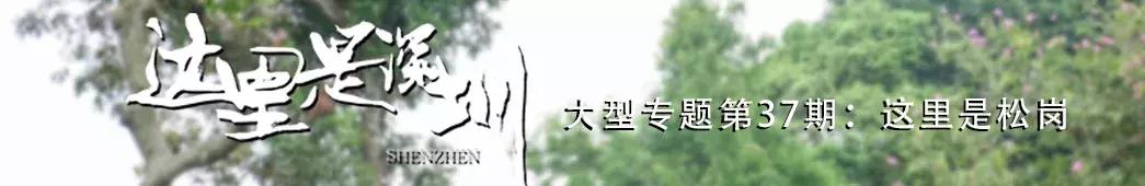 下一个松岗,这里是深圳宝安