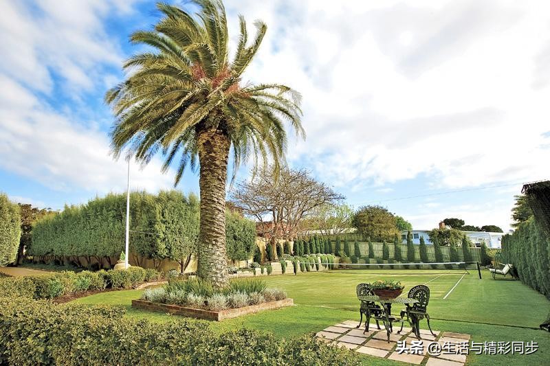 澳大利亚网球的排名前十,全球最美的草地网球场