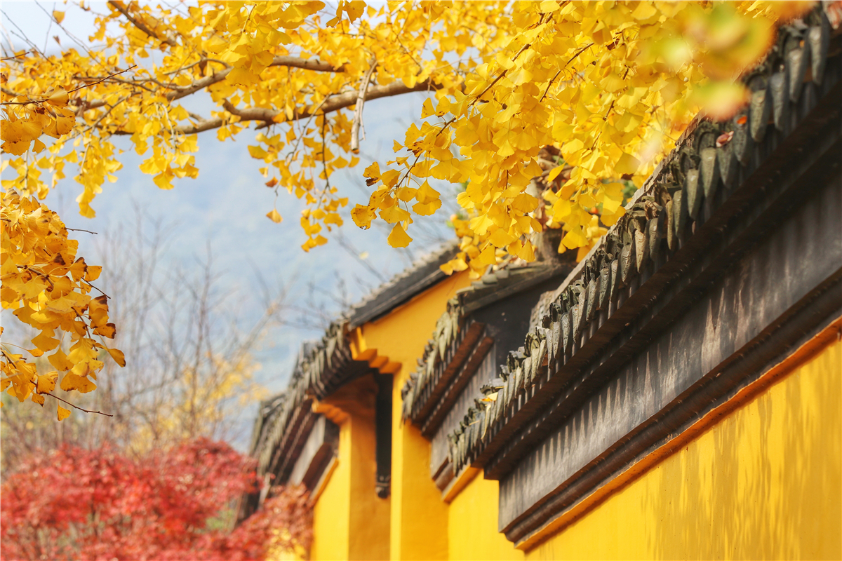 秋天苏州游玩,苏州旅游攻略秋天