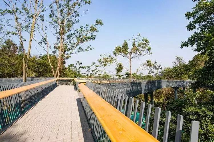 羊台山风景视频大全,深圳羊台山哪里风景最好