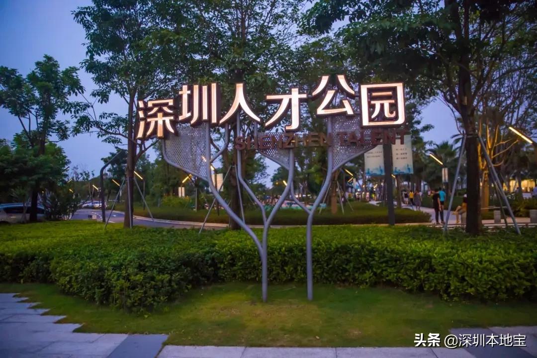 深圳经济特区民生建设,深圳经济发展方向南山区