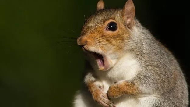 各国秘密间谍行动,各国间谍战有多凶险