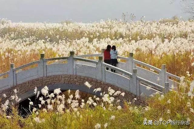 原来长沙隐藏了这14个人少景美的江心洲！不出城就能感受“海岛风情”，有些可以追溯到五代十国……