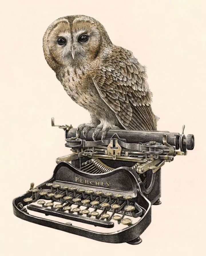 超好看的素描静物,超级惊艳的素描画