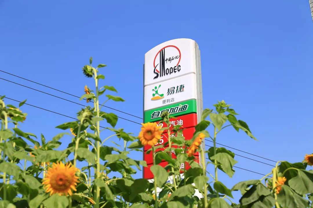 哪种加油卡最省钱,加油卡怎么用划算