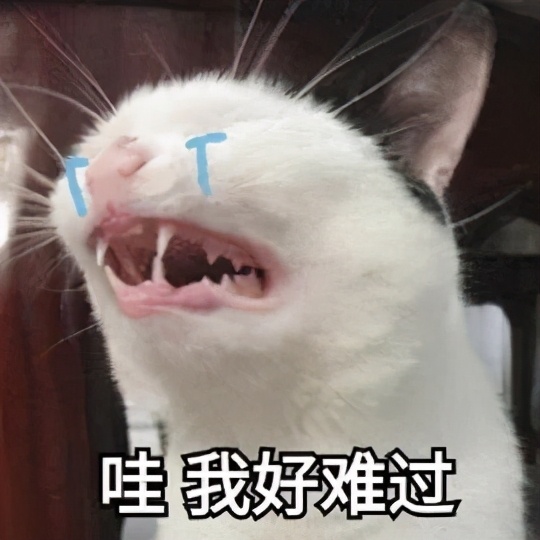 一年四季容易被蚊子咬是什么原因,被蚊子咬了正确打开方式