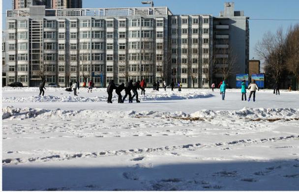 沈阳学生爱冰嬉:不上冰面滑两下,怎么对得起羽绒服?