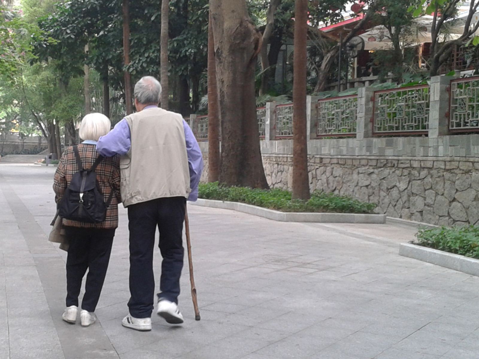 人老了会怎么办视频,人老了会有哪些变化