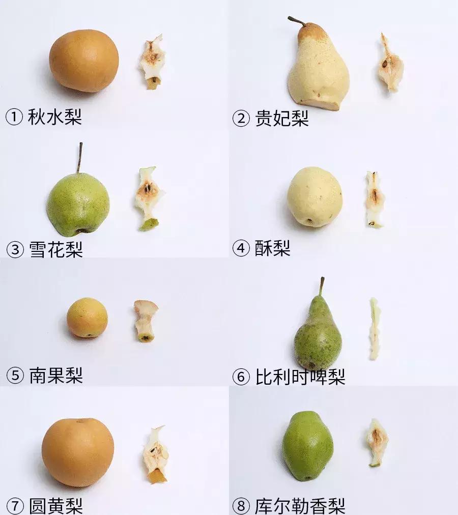 哪种梨最好吃又实惠,最好吃的十款梨