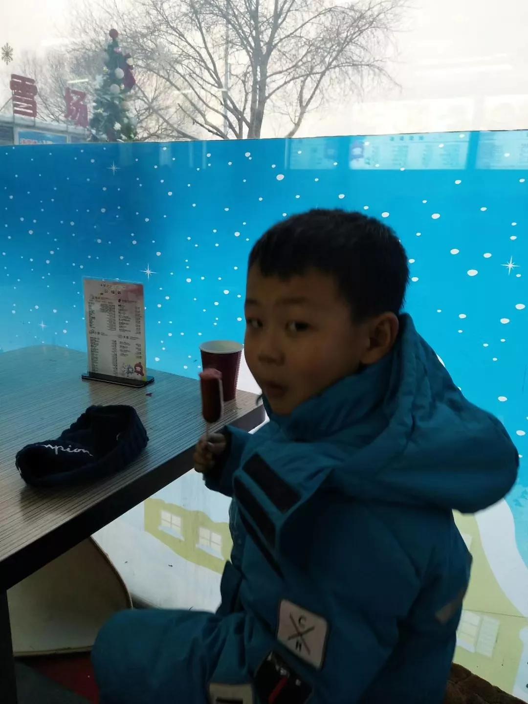 猪言猪语开口说话,猪言猪语情感教学