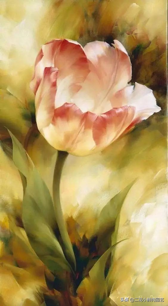 100种花卉绘画,100多张花卉线描手稿素材赶快收藏