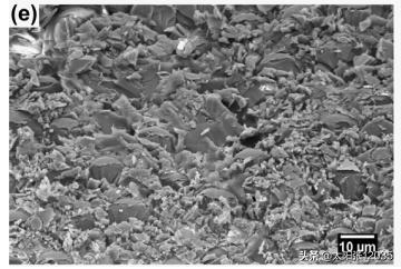 三聚氰胺纤维金雨薇学习翻译