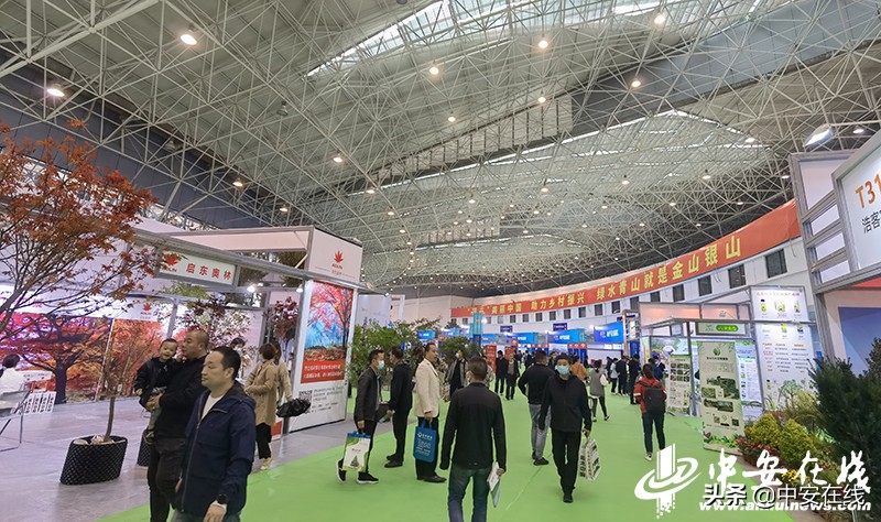 2020年中国合肥苗木交易会,2012中国合肥苗交会