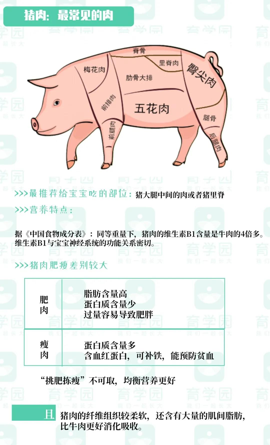 婴儿开始吃肉应该选择吃什么肉,首次给宝宝吃肉吃什么肉