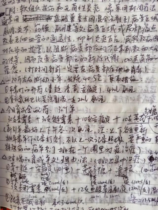 羊呼吸道病的治疗方法,预防羊呼吸道疾病有效方法